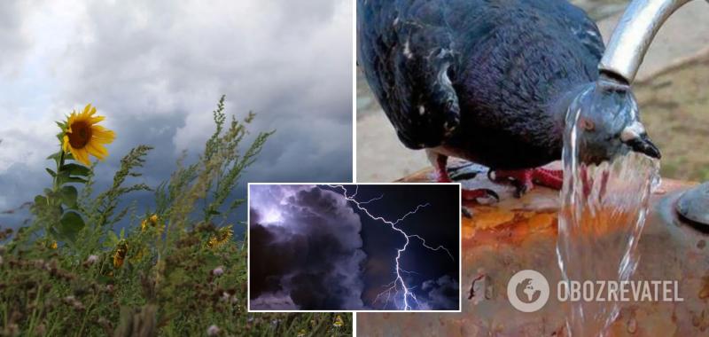 Жара до +31 и грозы: для Украины объявили штормовое предупреждение. Карта