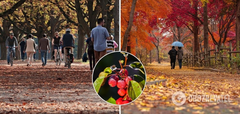 Жара в сентябре и заморозки в середине октября: народный синоптик дал прогноз на осень-2021